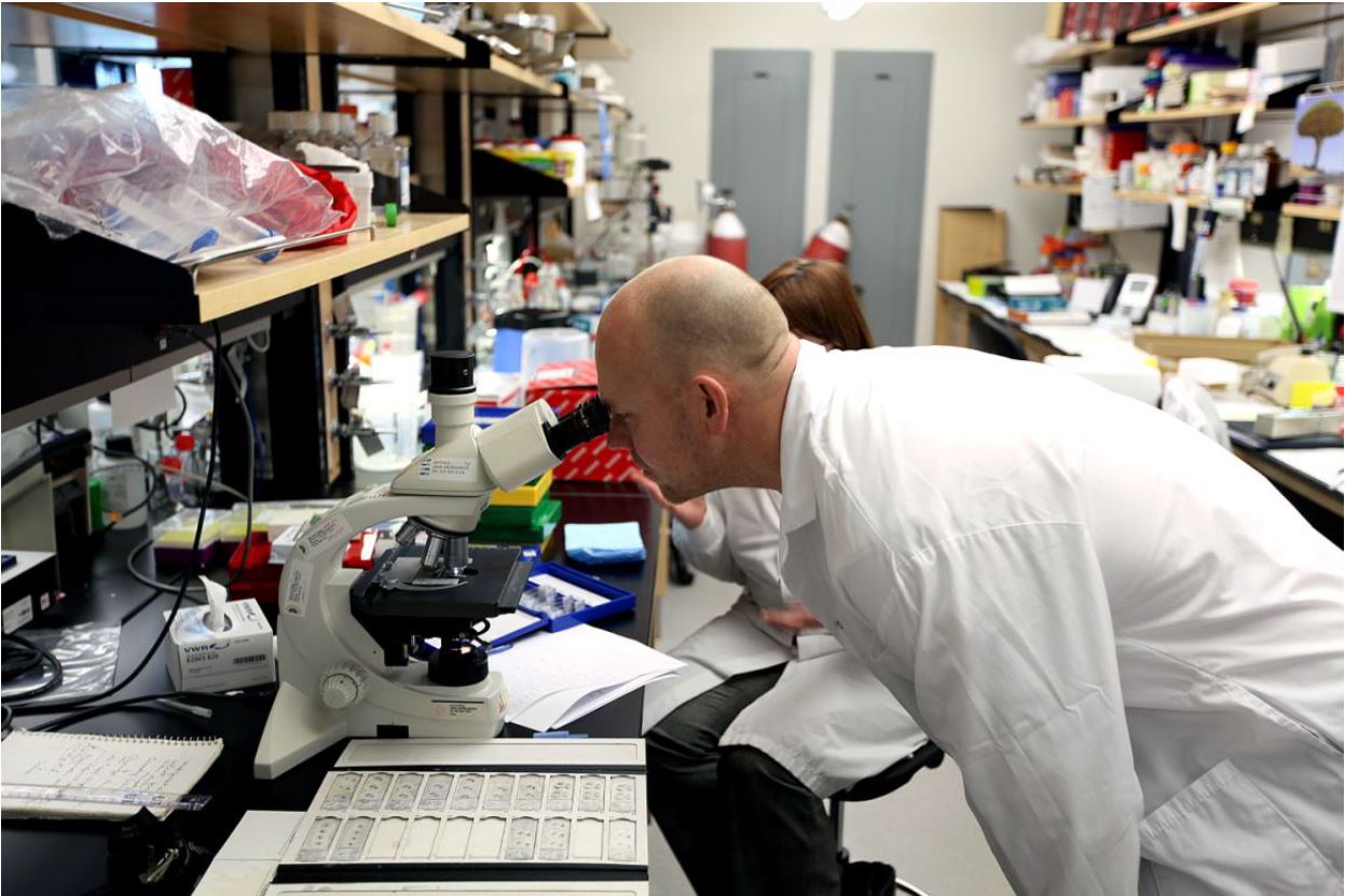 Mats Sundin in research laboratory