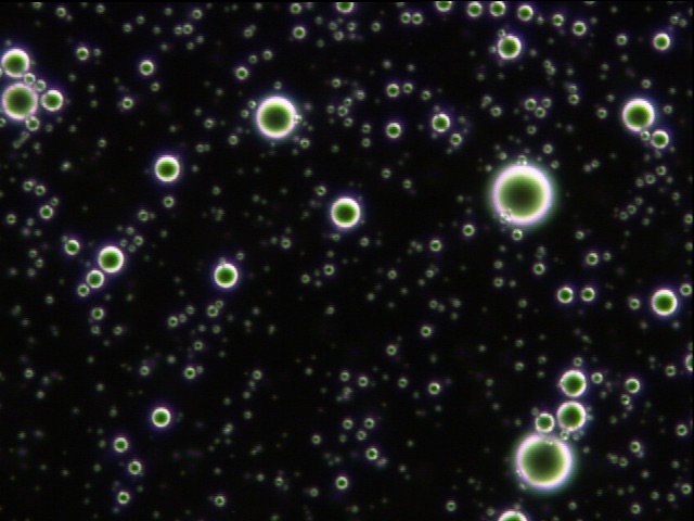 Microbubbles