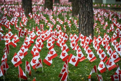 Flags decorate the lawn surrounding the Sunnybrook Veterans Centre on Remembrance Day