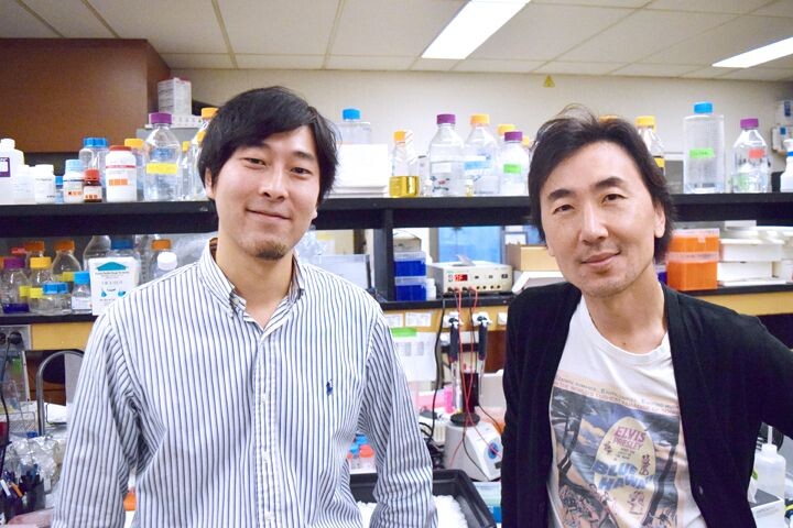 Professor Michael Ohh (right) with Postdoctoral Fellow Yoshihito Kano 