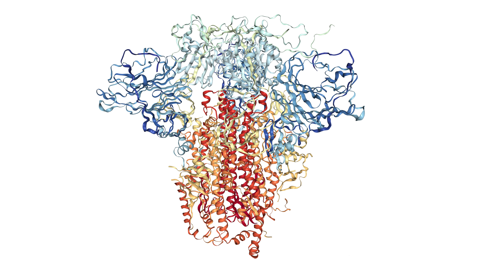 molecular structure of the coronavirus spike protein