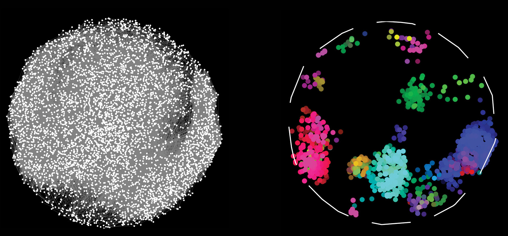 network illustration showing how thousands of proteins in human cells interact